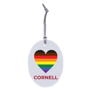 Oval Ceramic Ornament Rainbow Design