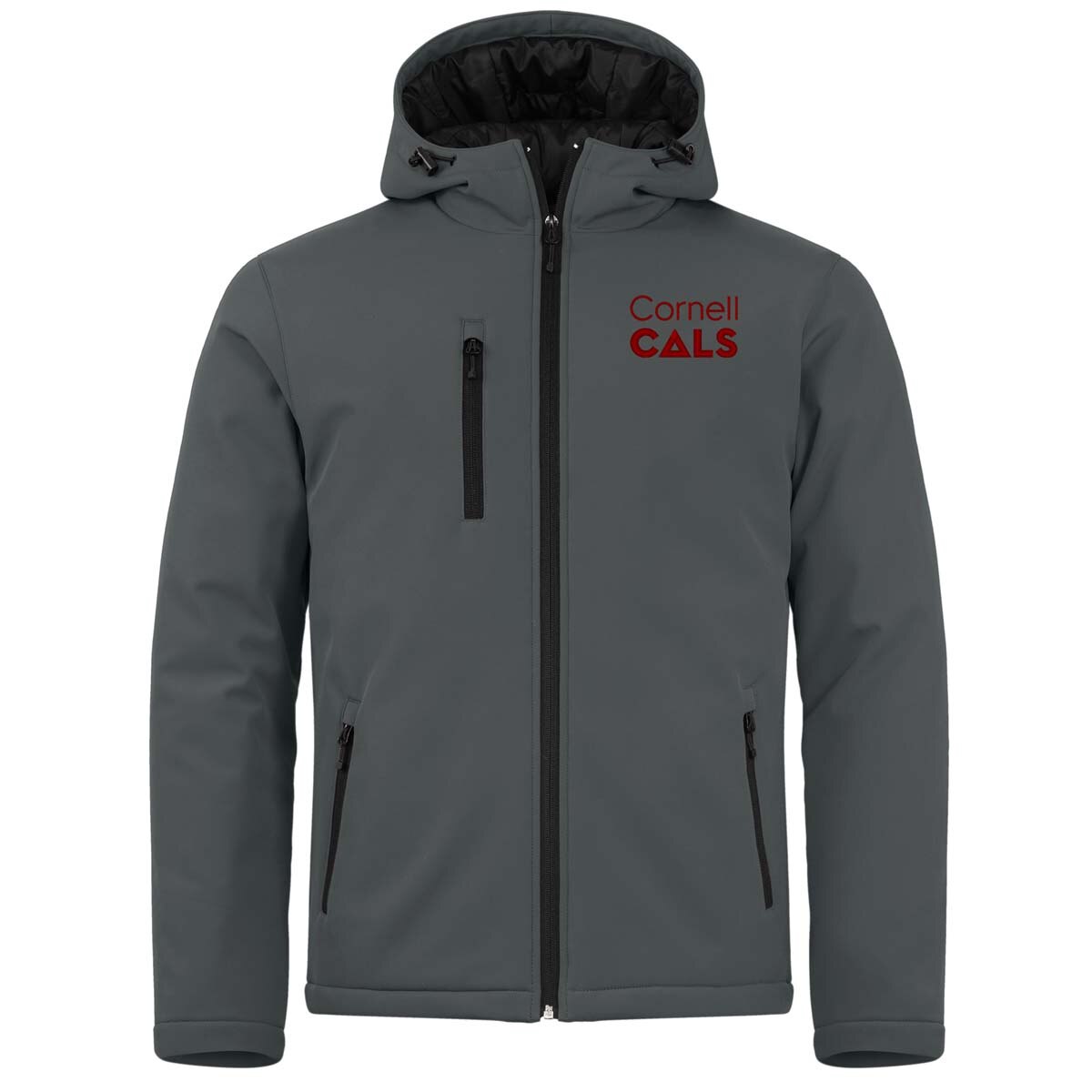 CUSTOM Cornell CALS Clique gray