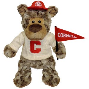 Touchdown Bear With Pennant Plush